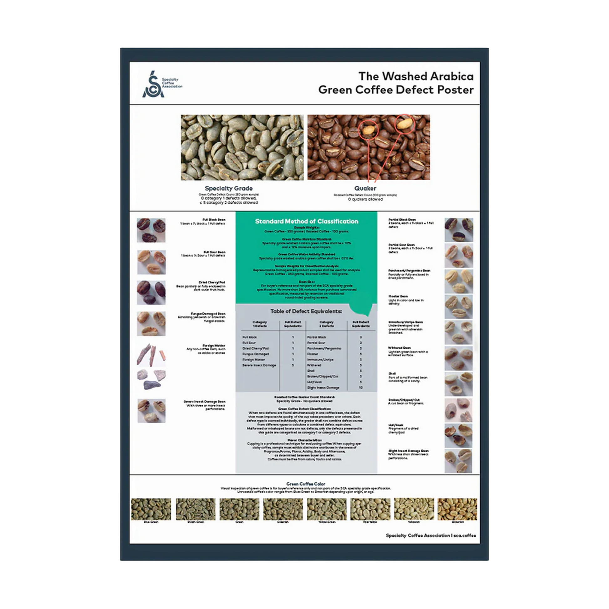 SCA Green Arabica Coffee Classification System Poster