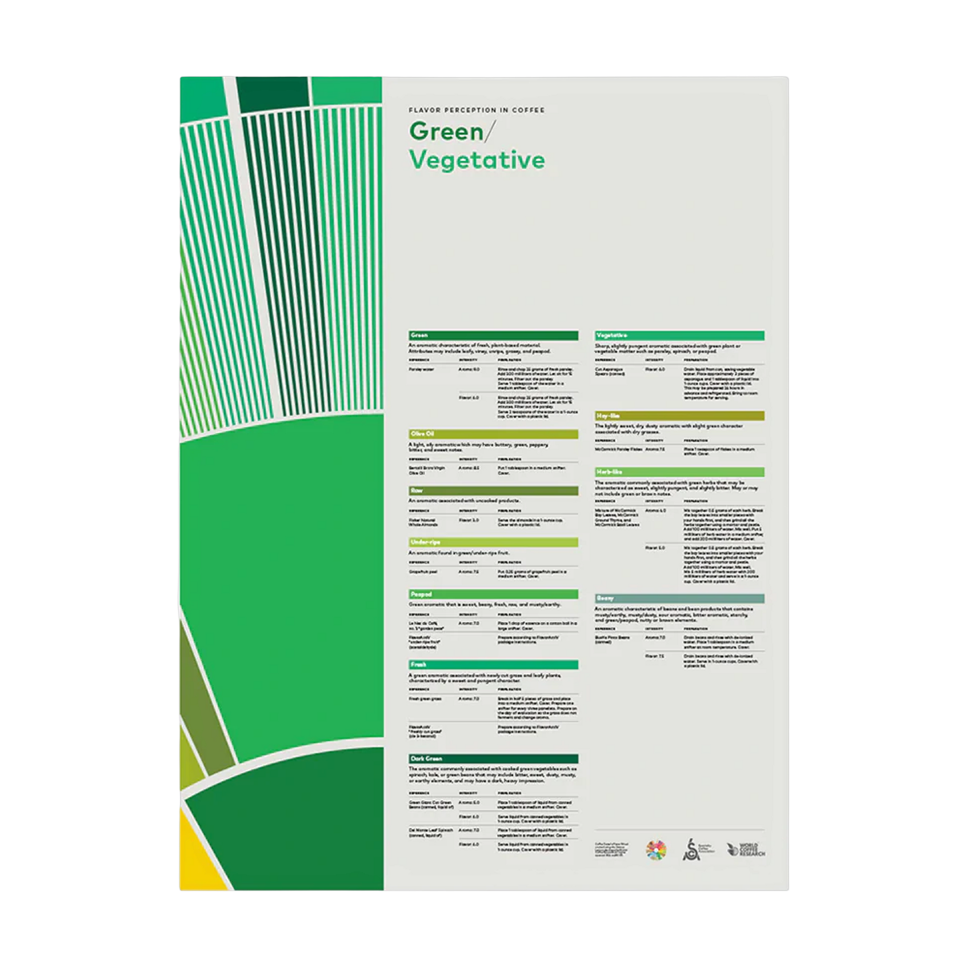 SCA Flavor Perception in Coffee Poster (Green Veg)