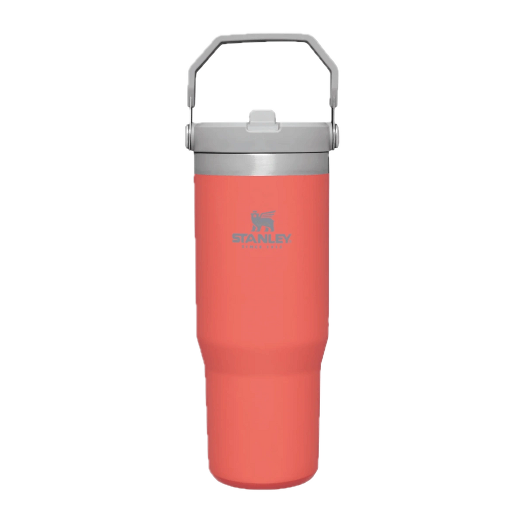 Stanley IceFlow Flip Straw Tumbler (0.87l)