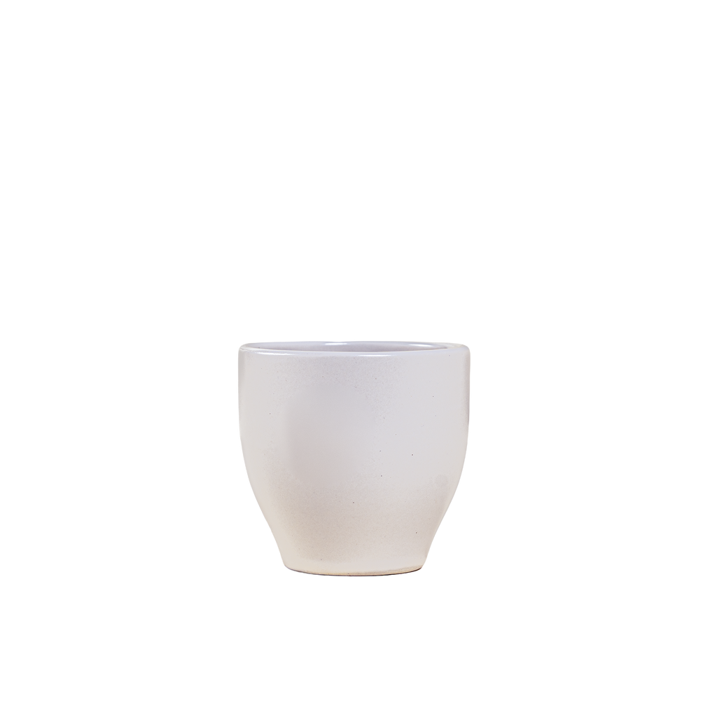 CUP MAE WHITE